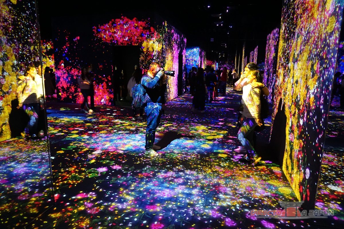 Sala de teamLab en Tokio con flores digitales proyectadas en el suelo y las paredes.