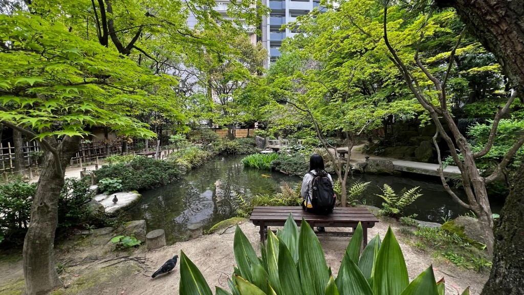 Estanque con carpas y un banco de madera bajo arces, con una persona sentada de espaldas, en el jardín Rakusuien de Fukuoka.