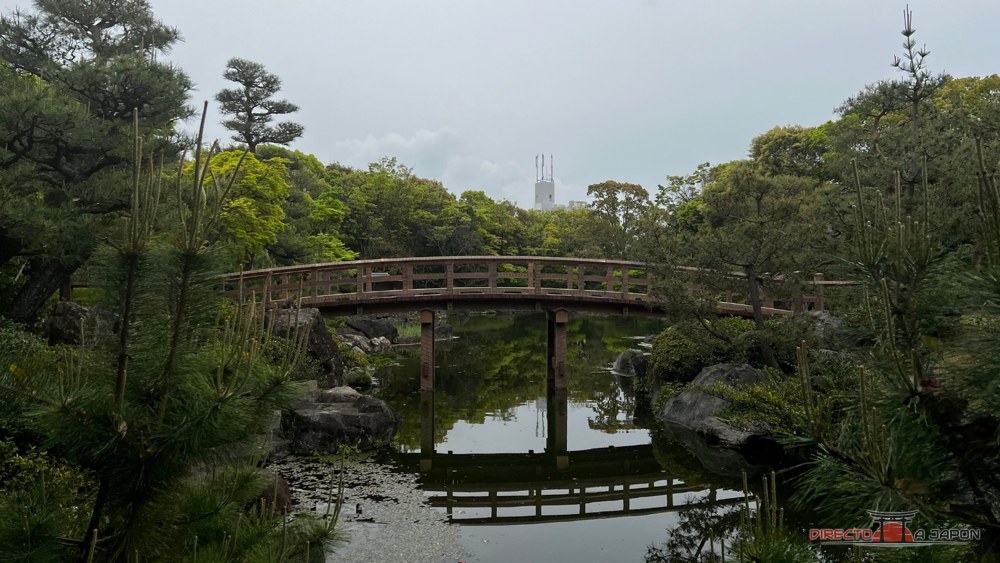 Puente de madera arqueado sobre un estanque, rodeado de pinos, en el jardín Shirotori de Nagoya.