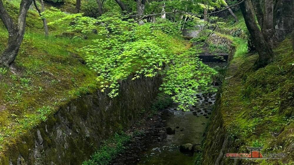 Muros de piedra cubiertos de musgo junto a un arroyo, bajo arces verdes, en el templo Tofuku-ji de Kioto.