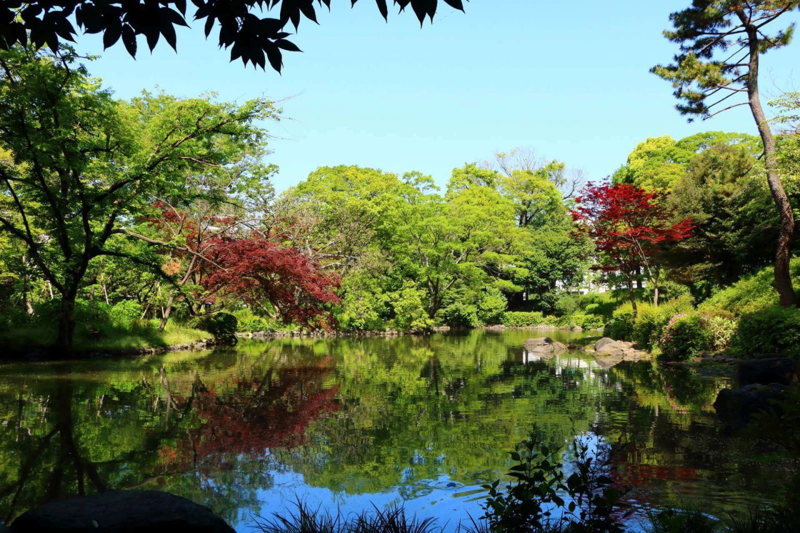 Arisugawa-no-miya Memorial Park (Tokio - Japón)