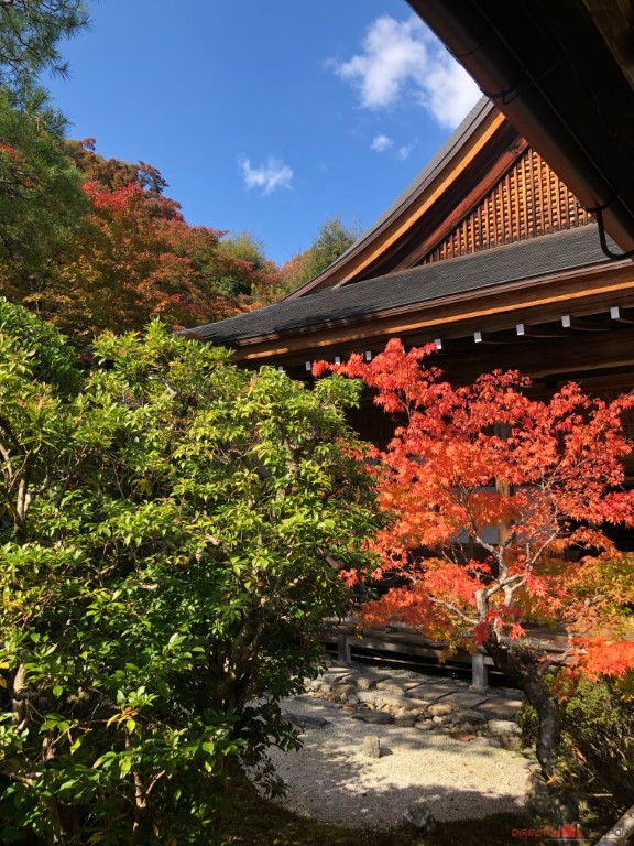 Japón en otoño