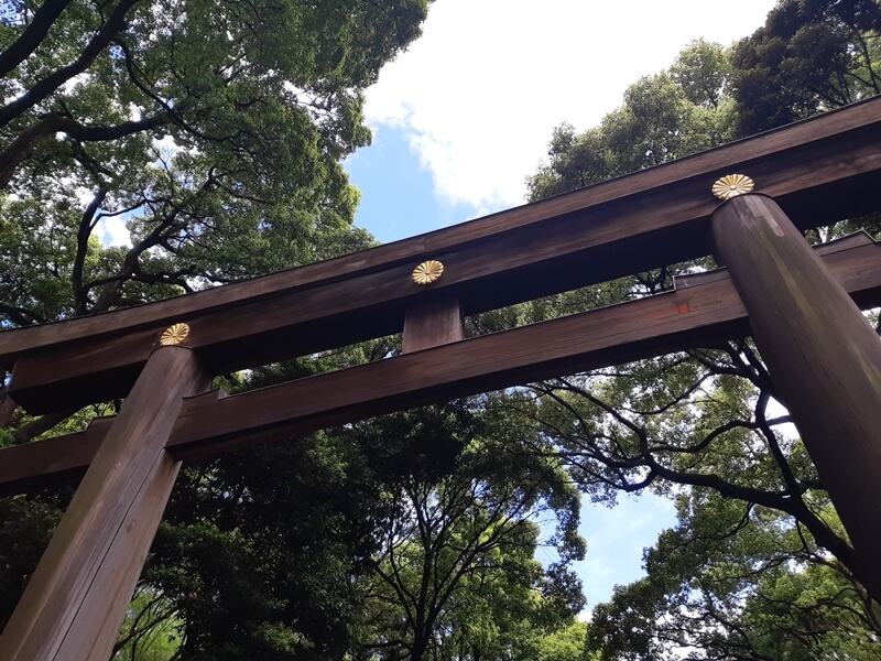Puerta torii del acceso sur al santuario Meiji
