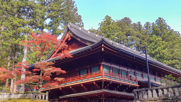 nillo en otoño - momiji