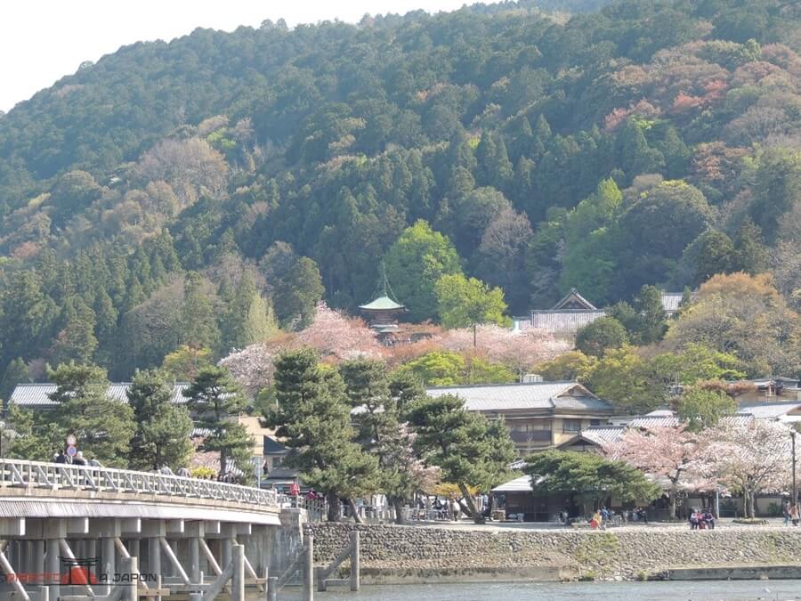 Qué ver en Kioto | Arashiyama